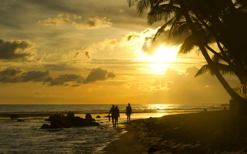 Best beaches in the Caribbean: paradise and exclusive destinations